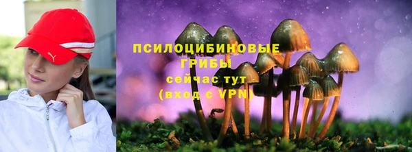 трава Бронницы