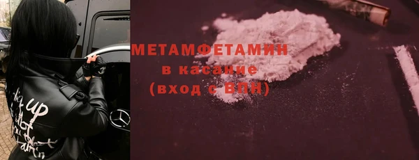 прущие грибы Богданович